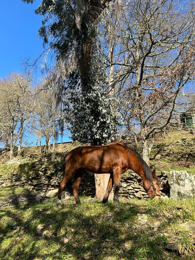 Aldea Couso Rural Hotel Sarreaus Bagian luar foto